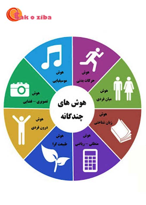 نظریه هوش چندگانه در موسیقی چیست؟